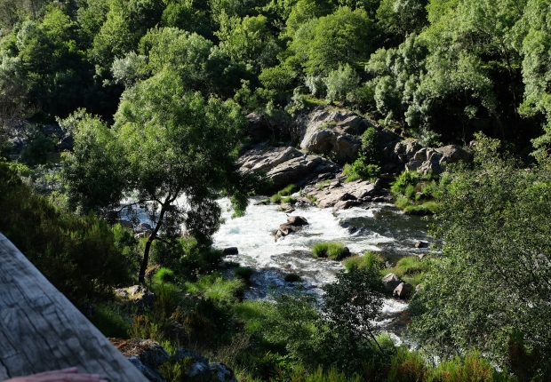 Highlight of ecosystem services project in Magic Mountains forest, Portugal